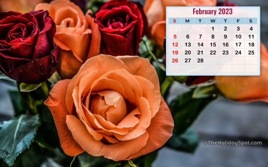 Download this HD Calendar wallpaper and set it as background on your PC or mobile phone for the month of February 2023.