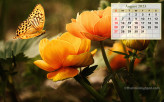 Calendar Wallpaper - Augu…