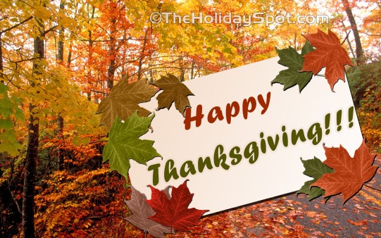 Thanksgiving HD maple wallpaper