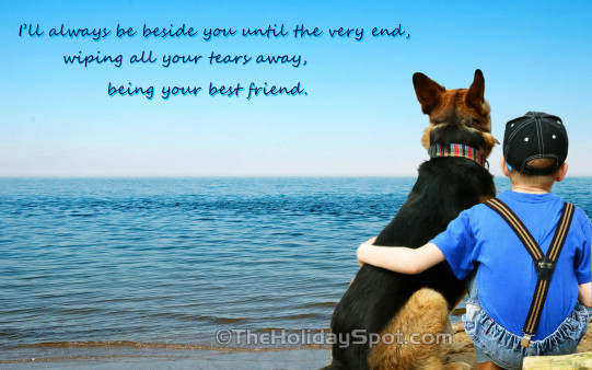 High Quality Friendship Wallpaper showing eternal bond between human and dog.