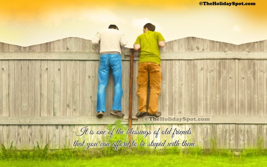 High Definition Friendship wallpaper showcasing two friends on the fence.