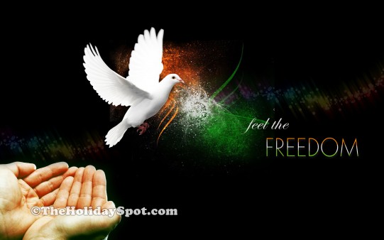 Feel the Freedom - Wallpapers from TheHolidaySpot