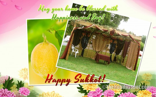 Download this colorful Sukkot background for your PC