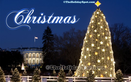 A 1080i resolution desktop illustration of Christmas celebration at White House