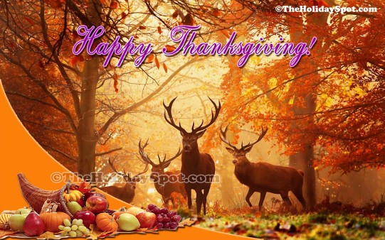 download free thanksgiving wallpapers for you.