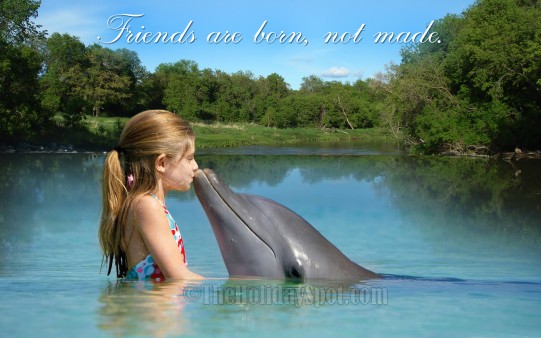 Download this Friendship Day HD Wallpaper of cute girl and her dolphin friend for your desktop.