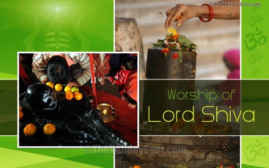 Download and adorn your desktop with the HD Wallpaper of worshiping Lord Shiva.