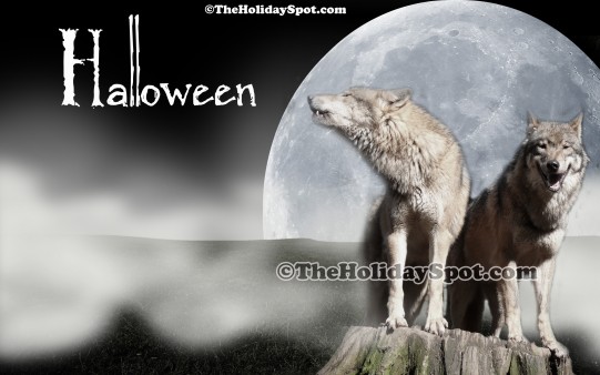 Halloween Wolves Wallpaper