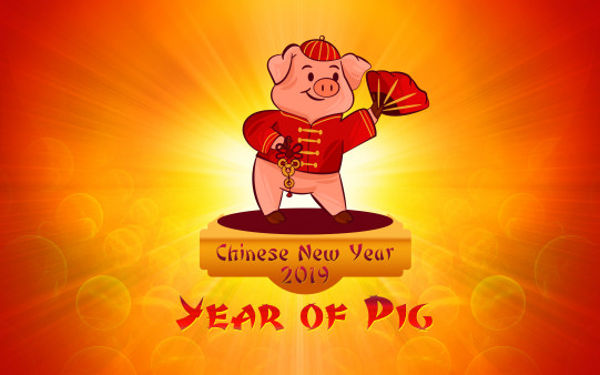 Download Chinese New Year HD wallpaper themed with Pig and set it as your desktop background for the year 2019.
